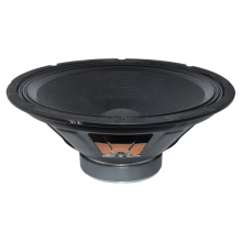 12 Inch Wholesale Subwoofer Speaker Woofer WL12049